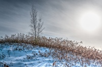 SalutationAuSoleil_Nature