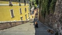 Escaliers à Rome