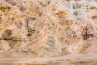 Vague de couleurs
