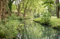 Nature verte