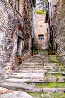 vers_le_haut